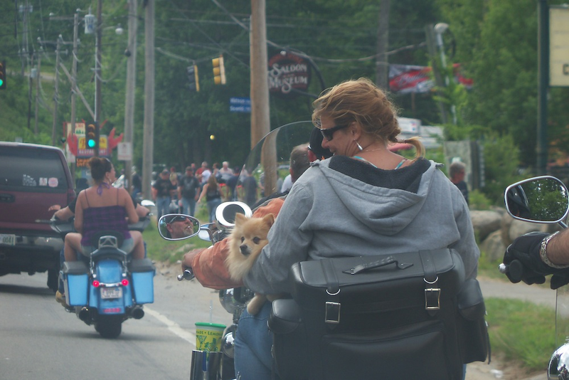Illustration for article titled Throbbing Pipes And Pussy By The Can: Scenes From Laconia Bike Week